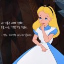 앨리스디자인 이미지