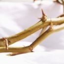 한세대학교 경찰법무 경영대학원 이미지