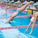 어푸어푸 이미지