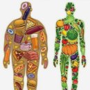 센티프짐 이미지