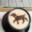 띵킹 독(Thinking Dog) | 비발디 소노펫, 소노캄 애견동반 카페 레스토랑 띵킹독(Thinking Dog) 고양점