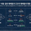 토끼굴 티스토리