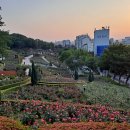 여월중학교 | 2026 부천 페스타 장미축제 백만송이장미원 축제 정보 매년 기대되는 부천 가볼만한 곳