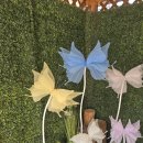 꿈꾸는 작은도서관 (꿈꾸는 다락방) | 수원자이언트플라워 꿈꾸는 다락방 – 실크 나비 원데이클래스 후기