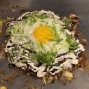 486펫콜 서울종로점 | 종로 맛집 오레노야끼 종로점 프라이빗한 철판요리 청계천 데이트코스 추천