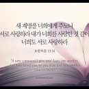 오늘의 '영어성경 사진'(323강) “서로 사랑해라”(요한복음 13장 34절) 이미지