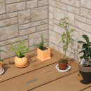 또래유치원 이미지