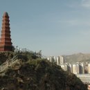 진용목장 이미지