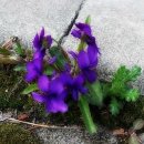 박사보건진료소 이미지