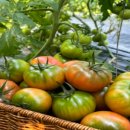 윤슬농장 이미지