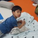 힘찬나래태권도장 이미지