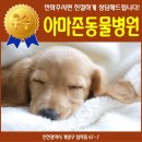 아마존 동물병원 이미지