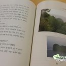 의성 경덕사 이미지