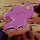 송간목장 이미지