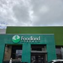 4850 | 포케 추천! 푸드랜드(foodland) 포케가격, 추천메뉴 내돈내산 솔직후기｜마구로스팟보다 참치 양 2배 실화?
