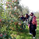 엘지농장 이미지