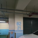 포레초이스 | 야탑 술집 수제맥주 분위기 맛집, 캠핑 느낌 술집 캠프포레