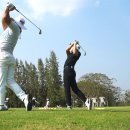 성원골프 이미지