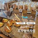 동탄순환대로3길R | 동탄 호수공원 소금빵 맛집 조각달과자점