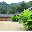 산청지리산도서관 이미지