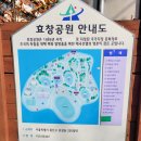 최백범 | 서울 용산구 효창공원, 불편한 서점2를 떠올리며 걷는 힐링 산책