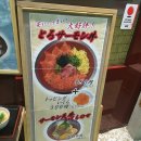 고양이개탄날봉담 | [일본 오사카 2박3일여행 일정/3일차] 우메다맛집 풍림(장어덮밥 굳) - 우메다 헵파이브 관람차...
