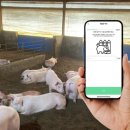 점수농장 이미지