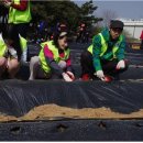 가좌농장 이미지