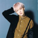 펫토피아 이미지