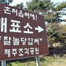 제주조각공원 이미지