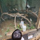 물새바람펜션 이미지