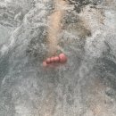 베이힐 알파동 이미지