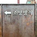 조양횟집 | 맛집] 여기가 과거에 공장이었다고? 이렇게 예쁜데?! 강화도 조양방직 후기(feat.제과 명장 베이커리)