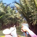 코코넛19 이미지