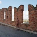 리우(Liu) 이미지