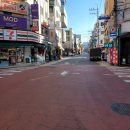 공감족발 | 송리단길맛집: [서보] '족발덮밥'포장 후기 / 맛있어요!😊