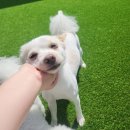 나와놀개 이미지