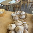 다르마키친 | 구미 건강빵집 다르마키친 다녀온 후기 대추야자빵 호밀빵 우리밀빵 대구근교 건강빵집