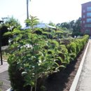 상록요양병원 이미지