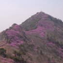 영취산 민박 이미지