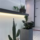 최신외과의원 이미지