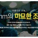 코헨의원
