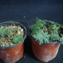 백산유통 이미지