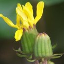 연봉초등학교 이미지