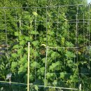 재경농장 이미지