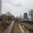 서래횟집 이미지