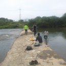 성수태양광발전소 이미지