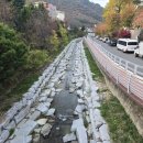 콕콕부동산공인중개사사무소 이미지