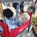 아모레중원 | 벚꽃축제 진해군항제 아이와축제나들이 후기🌸｜2026 일정·위치·꿀팁 총정리