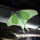 신선민박 이미지